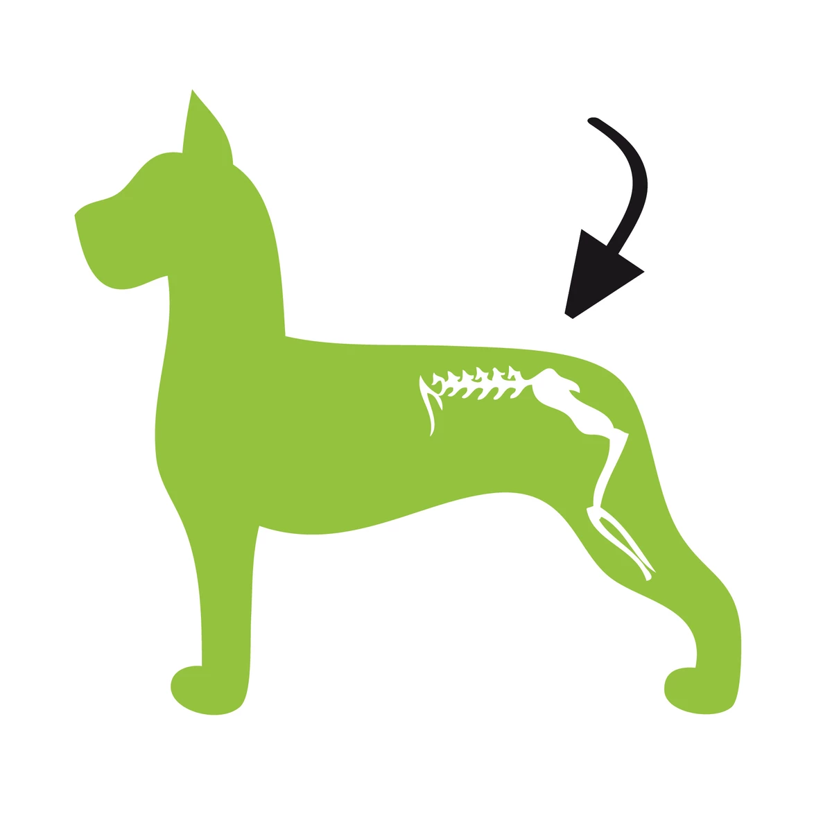 Euro Joe Dog Flex 3 Euro Joe Dog Flex