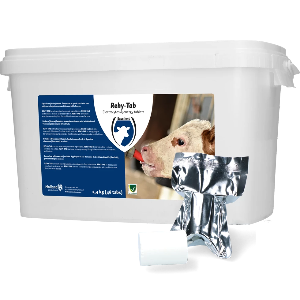 Horses Sales 2023 -Horses Sales 2023 261574 1