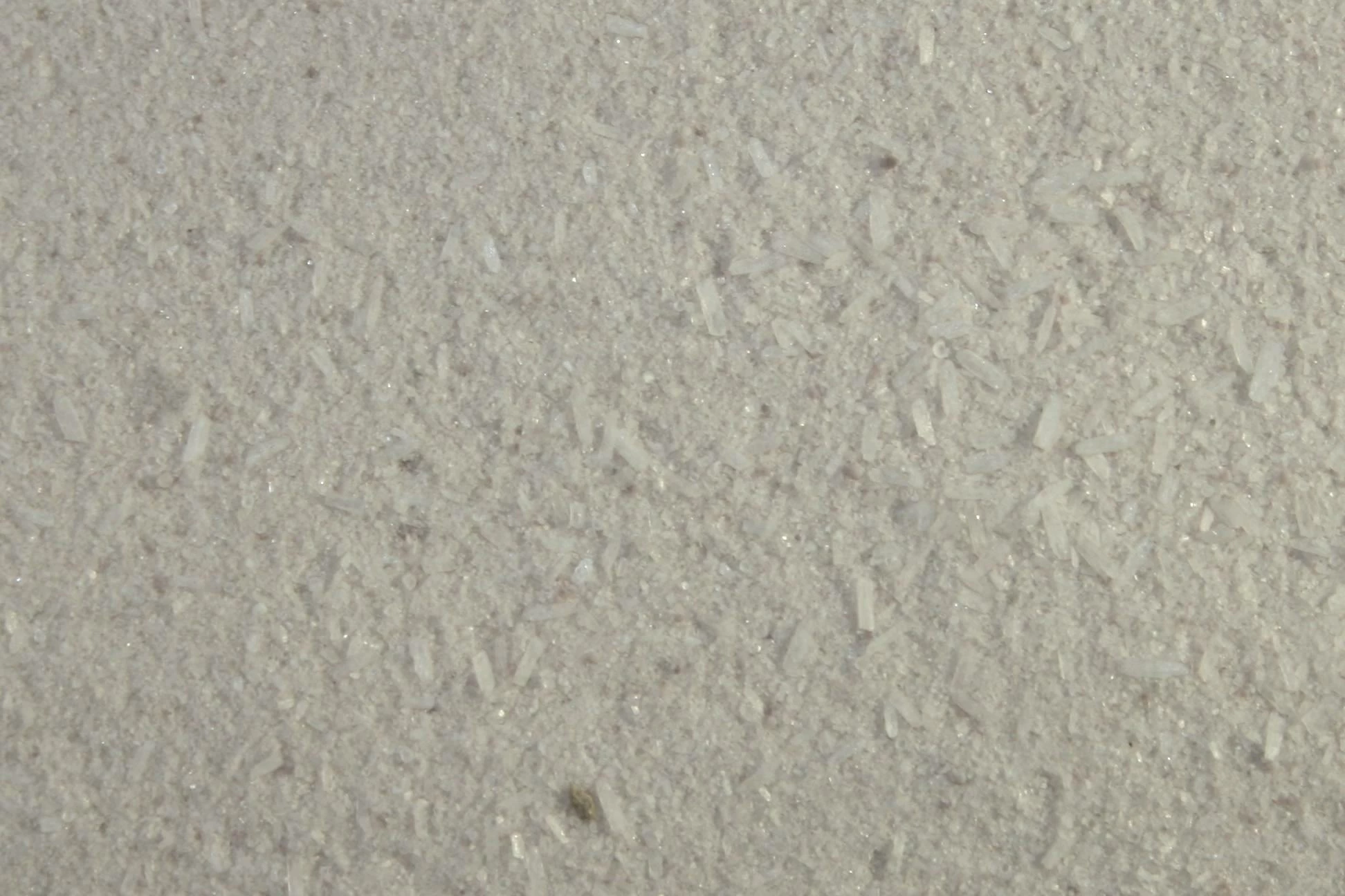 Euro Joe Horse Electrolytes Poeder Met B2 Emmer 3 Euro Joe Horse Electrolytes Poeder Met B2 Emmer