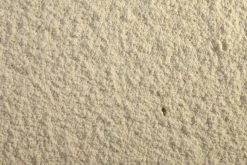 Euro Joe Prominent -Horses Sales 2023 267402