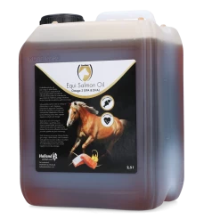 Euro Joe Equi Zalmolie