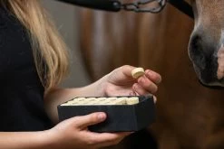 Euro Joe Excellent Horse Healthy Box Luchtwegen -Horses Sales 2023 273625