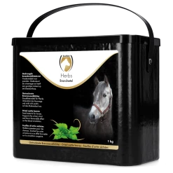 Euro Joe Excellent Herbs Brandnetel