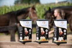 Euro Joe Excellent Horse Healthy Box Luchtwegen -Horses Sales 2023 274726