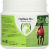 Euro Joe Psyllium Plus Hond 2 Euro Joe Psyllium Plus Hond -Horses Sales 2023 91752