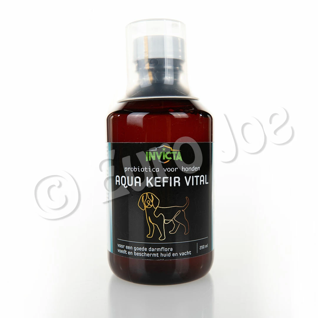 Euro Joe Waterkefir (Probiotica Hond) 3 Euro Joe Waterkefir (Probiotica Hond)